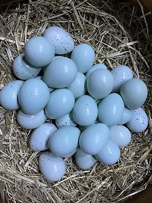 12 Celadon Quail Hatching Eggs • £12.99