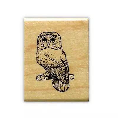 SAW WHET OWL Mounted Rubber Stamp Night Bird Of Prey #9 • $11.52