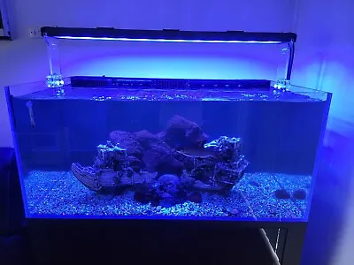 Cade Pro Reef 1200 4ft Fish Tank Complete • $1750