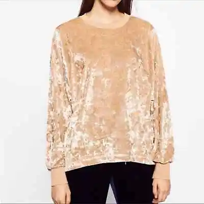 Zara Trafaluc Crushed Velvet Sweatshirt Medium Long Sleeve Crew Neck Top • $21.25