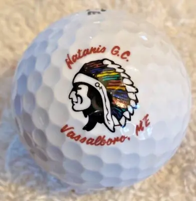   NATANIS GOLF CLUB - VASSALBORO MAINE-INDIAN HEADDRESS   VTG-1980s Superb • $8.50