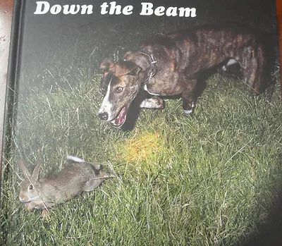 £35 • Buy Down The Beam