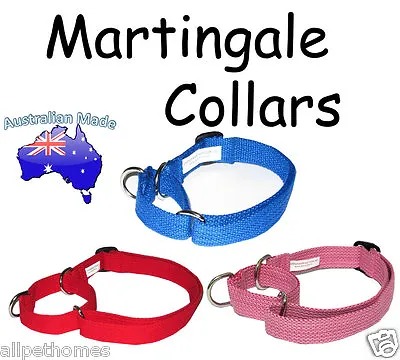 Obedience Half Check Collar - Utility Dog Collar Martingale ( 4 Sizes) 7 Colours • $11