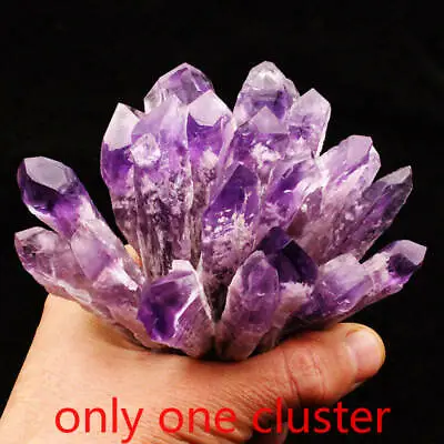 £8.39 • Buy Natural Brazilian Amethyst Quartz Geode Druzy Crystal Cluster Scepter Specimen