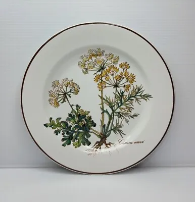 Villeroy & Boch Botanica Carum Carvi Bread Cake Or Side Plate 17cm  • $18.92