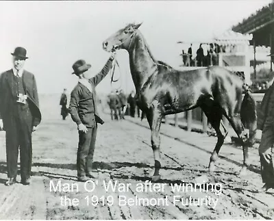 1919 - MAN O' WAR After The Winning Belmont Futurity - 10  X 8  • $24