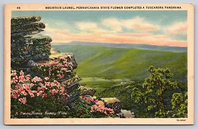 Postcard Pennsylvania's State Flower Mountain Laurel 64 • $4.95