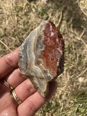 Crazy Lace Agate Slab (Mexico) • $15