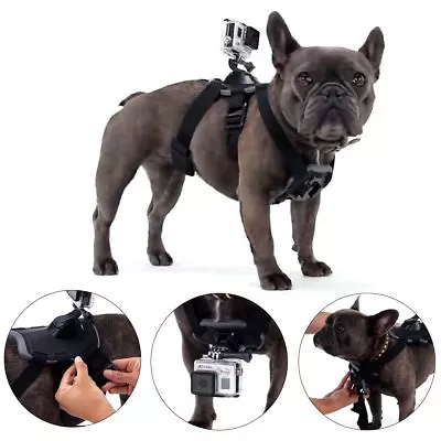 Elastic Hound Dog Fetch Chest Strap Belt Mount GoPro  Hero 11 3 6 5 7 8 9 Camera • $24.66