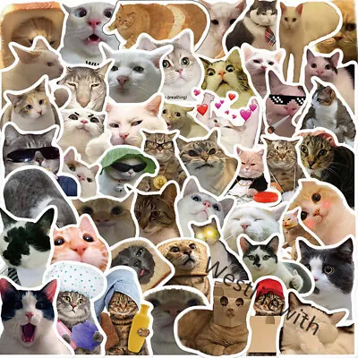 50Pcs Cute Cat Stickers Bulk Kawaii For Kids Water Bottle Cars Adults Laptop SET • £4.36