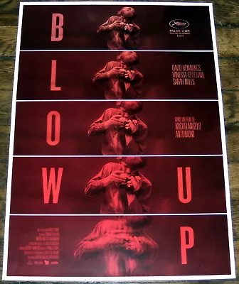 BLOW UP  Antonioni Photography 1960s David Hemmings Redgrave SMALL French POSTER • $25