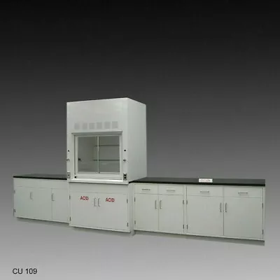 Fisher American 4' Laboratory Bench Fume Hood / ACID Storage &15' Cabinet E1-420 • $14300