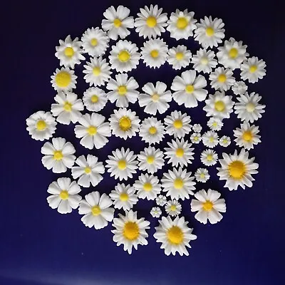30 Daisies Cake Decoration Edible Sugar /Fondant Daisy Flowers White Pinks Multi • £6.50