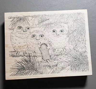 House Mouse Owl Eyes On The Ball Muzzy Juggling Berries Stamp Rosa Rubber Stamp • $29.99