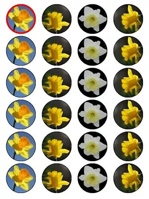 Daffodil Flower Cake/Cupcake Topper Decorations On Edible Rice Paper • $3.40