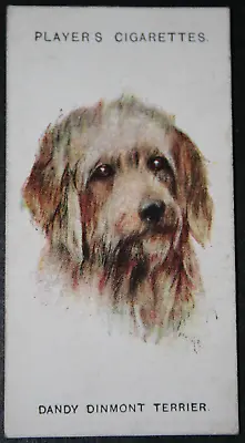 £3.99 • Buy DANDIE DINMONT TERRIER  Vintage 1920's Dog Portrait Card  PC19M