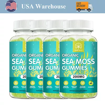 Sea Moss Gummies 2000mg - Irish Sea Moss Raw Organic Bladderwrack (1-4 Pack) USA • $44.99