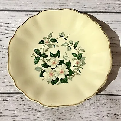 £13 • Buy Vintage J & G Meakin Floral Plate. Sunshine Ware 1940-1963. White Flowers. 