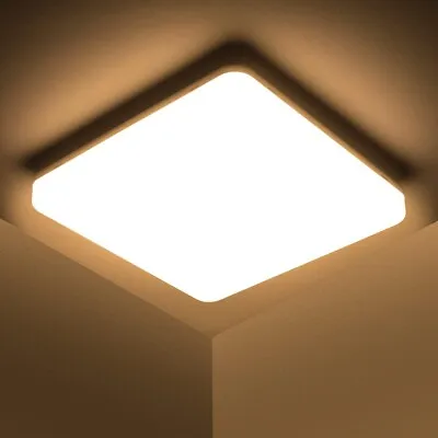 Cambo Ceiling Light • £9.75