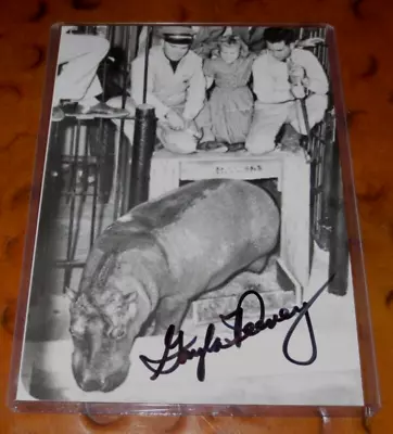 Gayla Peevey Singer Signed Autographed Photo I Want A Hippopotamus For Christmas • $20