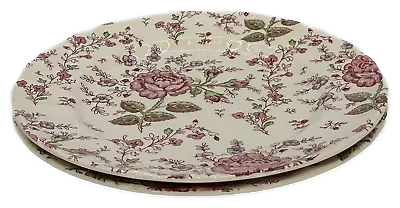 Johnson Brothers Rose Chintz Accent Dinner Plate 1883 Set Of 2 • $19.50