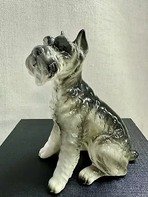 Vintage Norcrest A720 Stafford Blue Ribbon Series Sitting Schnauzer From Japan • $9.99