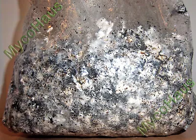 120 LBS Sterilized Compost Bulk Mushroom Substrate Mycology Grow Kit Spawn Bag • $240