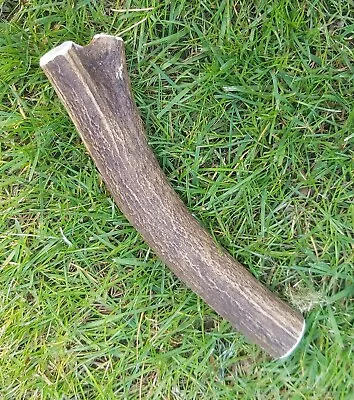 £12.99 • Buy Red Deer Antler Natural Dog Chew Long Lasting Medium