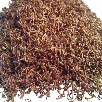 Freeze Dried Bloodworm Fish Food Aquarium Feed For Tropical Marine And Reptiles  • £3.99