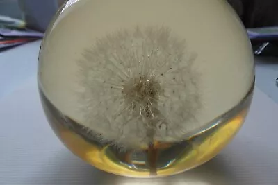 Dandelion Seed Paperweight Pewter Rose Larger Size • £15