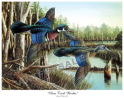 JAMES PARTEE JR WOODDUCK  RUM CREEK WOODIES  COLORFUL WATERFOWL 16x20 LITHOGRAPH • $17.50