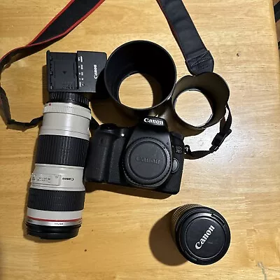 MINT Canon EOS 70D 20.2MP Digital SLR Camera - + Canon EF 70-200mm F/4 Telephoto • $800