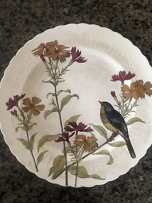 Antique 1880's Mintons ESSEX BIRDS Plate EXTREMELY RARE 10  Dinner Plate • $81.50