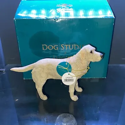 Dog Studies By Leonardo Standing Golden Labrador  New Gift LP04153 • £6