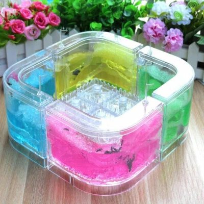 $28.99 • Buy Educational Tool 3D Ant Farm Maze Live Feeding System Ants Habitat Villa