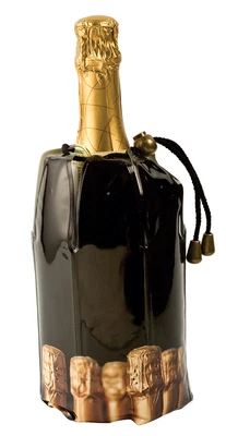 $21.99 • Buy Rapid Ice Champagne Chiller Bag
