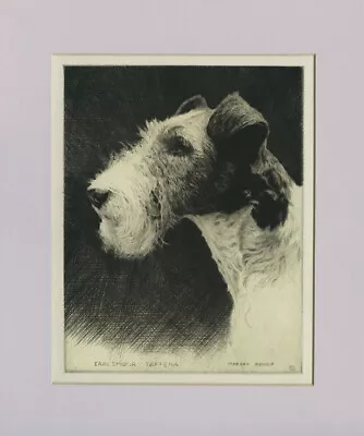 Original 1931 Morgan Dennis Etching Of Wire Hair Fox Terrier “Earlsmoor Taffena” • $385