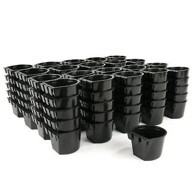 (Pack Of 100) Black Cage Cups For Feed & Water For Poultry Duck Bird Hamster • $79.99