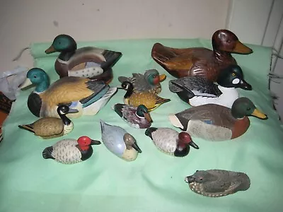 (13) Miniature Ducks: Redhead Can Goldeneye  Mallards Canadas Pintail Wood • $34.99