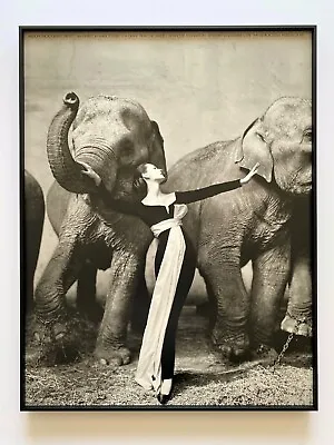 $5400 • Buy Richard Avedon Rare 1978 Litho Print Framed Exhbt Poster  Dovima Elephants  1955