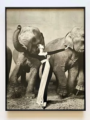 Richard Avedon Rare 1978 Litho Print Framed Exhbt Poster  Dovima Elephants  1955 • $5400