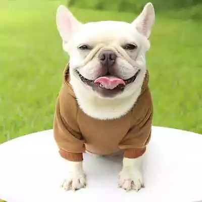 $8.99 • Buy Basic Dog Hoodie Pet Clothes Sweater With Hat Casual Sports Hooded Sweatshirt