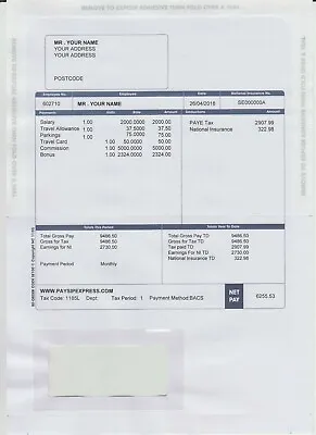 Copy Wage Slips X 1 Same Day Service Replacement Payslips Payslip P60  • £19.99