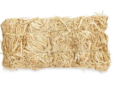 Decorative Indoor/Outdoor Natural Rustic Straw Bale 5 Inch X 6 Inch X 13 Inch • $15.75