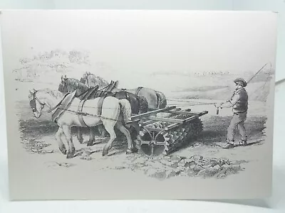 Three Horses Ploughing Field Using Ian Crosskills Clod Crusher Vtg Art Postcard • £5.75