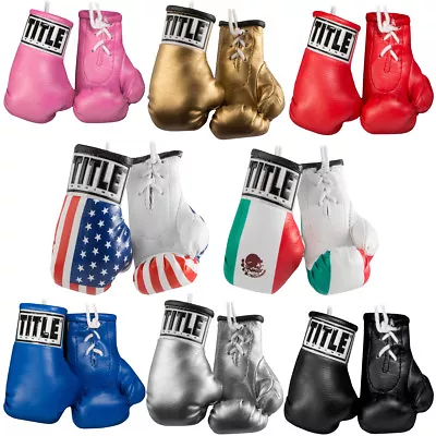 Title Boxing 3.5  Authentic Detailed Mini Lace Up Gloves • $13.75