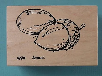 Realistic Acorns VISUAL IMAGE PRINTERY VIP Rubber Stamp • $12.99