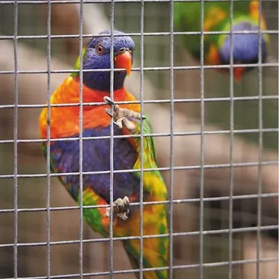 Cage & Aviary Mesh Panel 0.6 X 0.9m 25mm 13mm (Chicken Wire Galvanised Fence) • £7.95