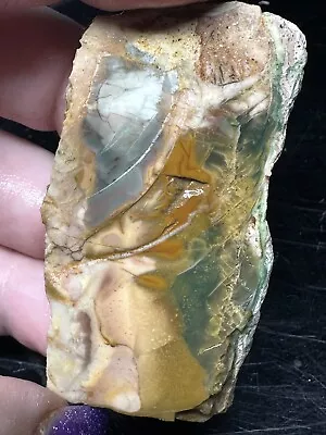 Morrisonite .6 Oz Rough Jasper Agate Cab • $16.99