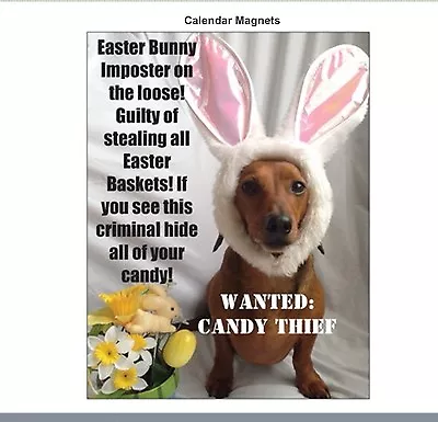 Dachshund Easter Dog Refrigerator Magnet Animal Rescue Scrappy Dizzle Designz • $4.99